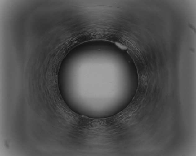 X0000093100865200709261228