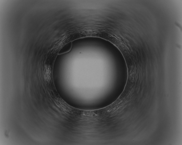 X0000093100866200709261228