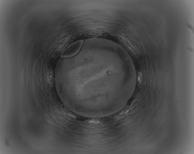 X0000093100867200709261228