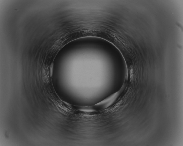 X0000093100868200709261228