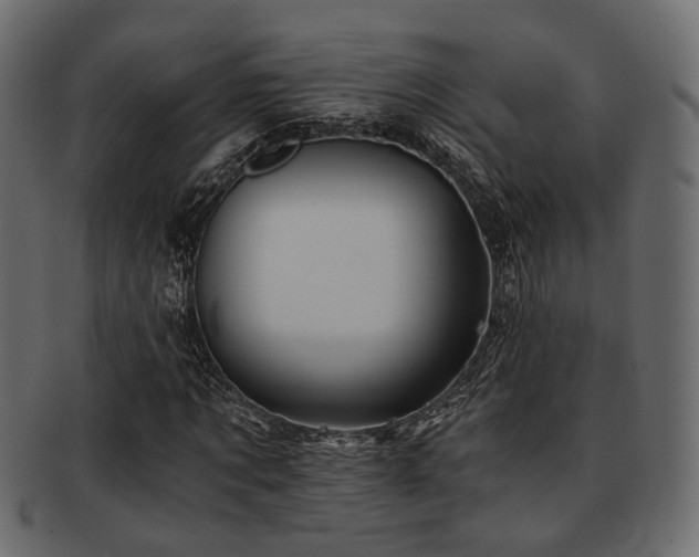 X0000093100869200709261228