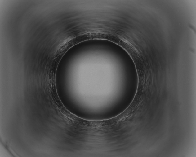 X0000093100870200709261228