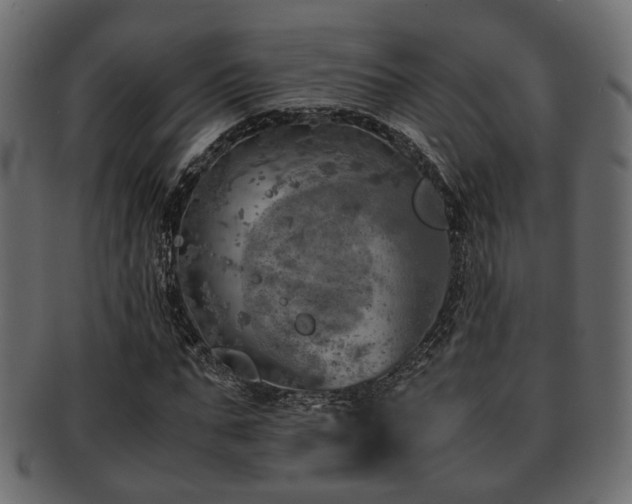 X0000093100871200709261228
