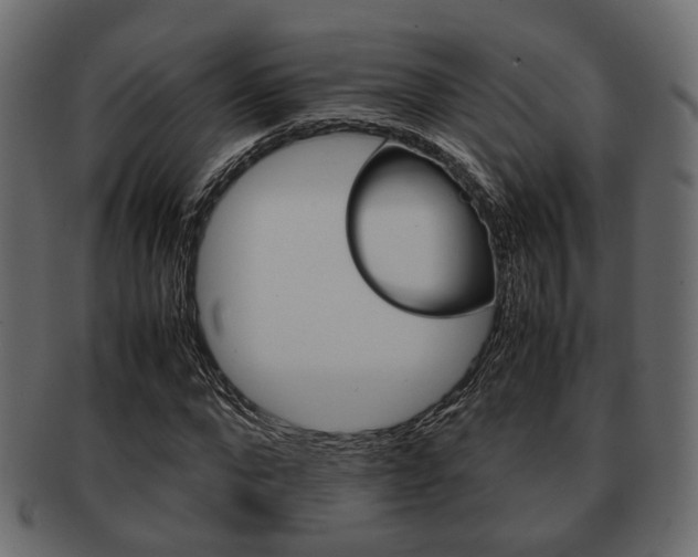 X0000093100872200709261228
