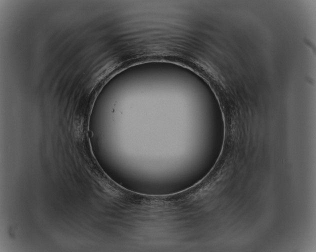 X0000093100873200709261228