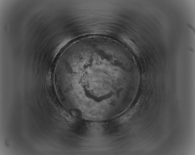 X0000093100875200709261228