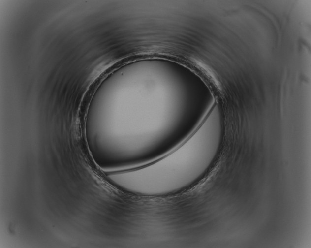 X0000093100876200709261228