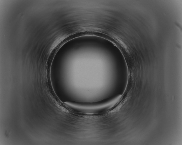 X0000093100877200709261228
