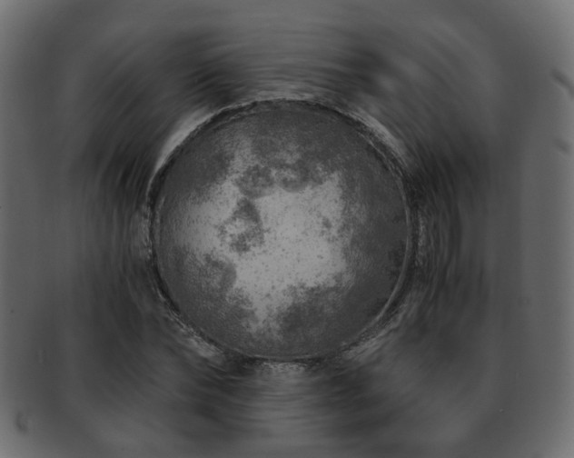 X0000093100878200709261228
