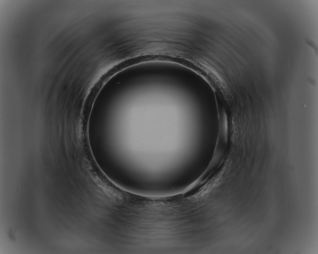 X0000093100880200709261228