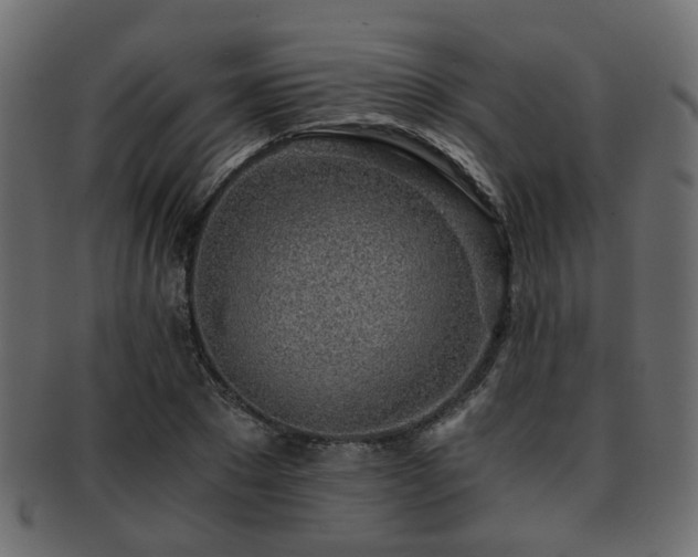 X0000093100881200709261228