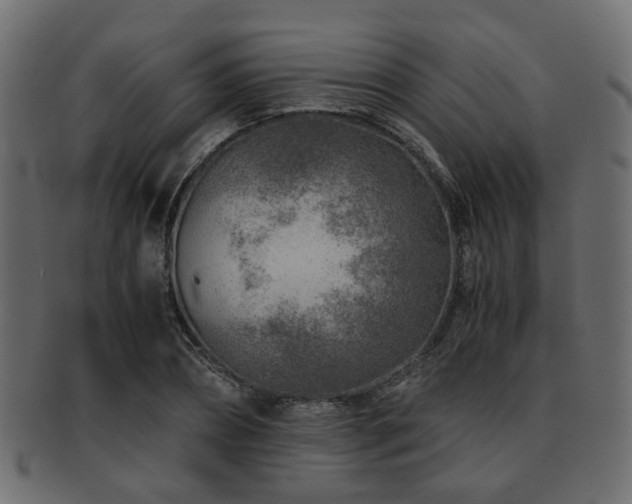 X0000093100882200709261228