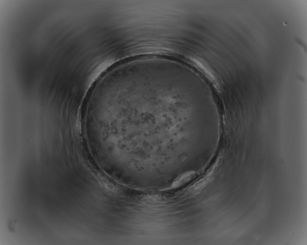 X0000093100883200709261228