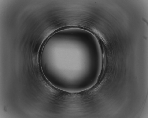 X0000093100884200709261228
