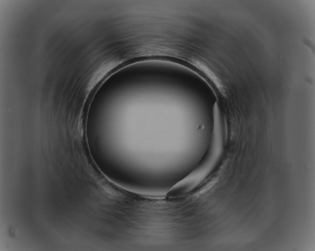 X0000093100885200709261228