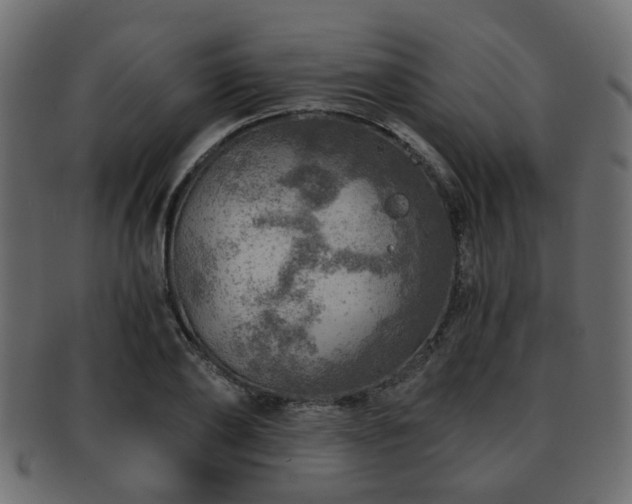 X0000093100886200709261228