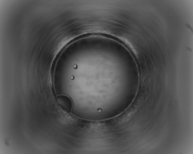X0000093100887200709261228