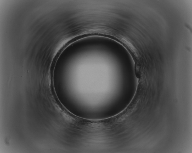 X0000093100888200709261228