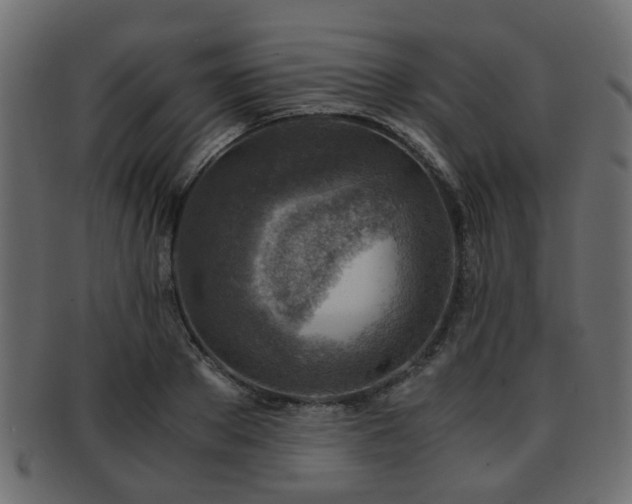 X0000093100889200709261228