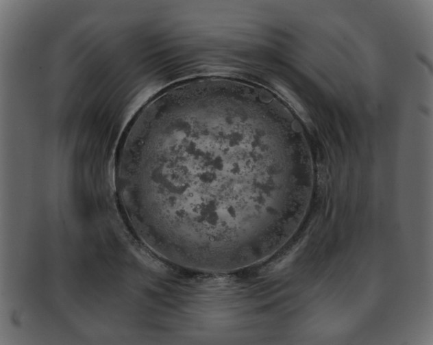 X0000093100891200709261228