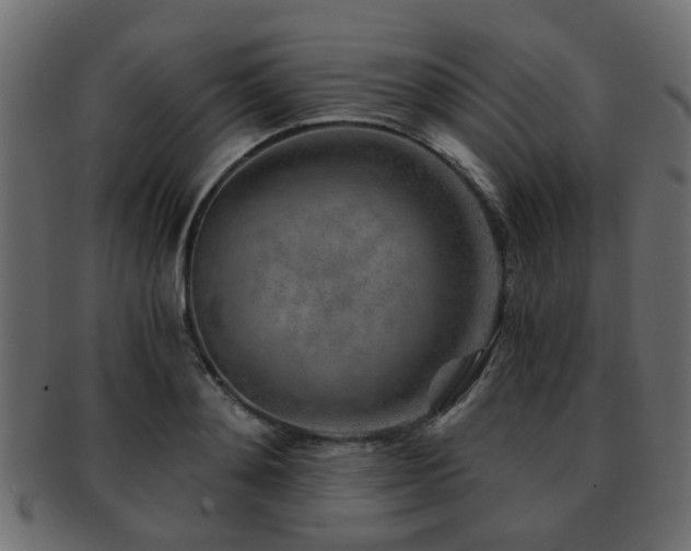 X0000093100892200709261228
