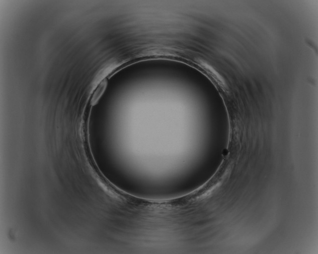 X0000093100893200709261228