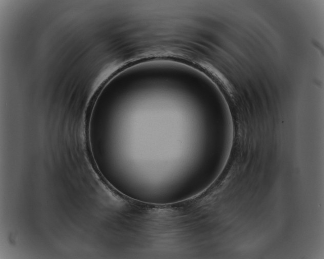 X0000093100894200709261228
