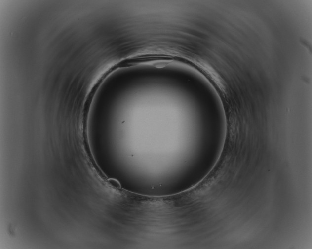 X0000093100896200709261228