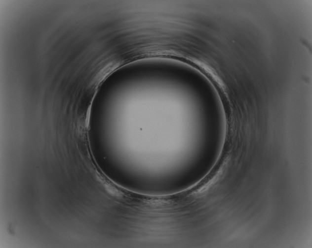 X0000093100897200709261228