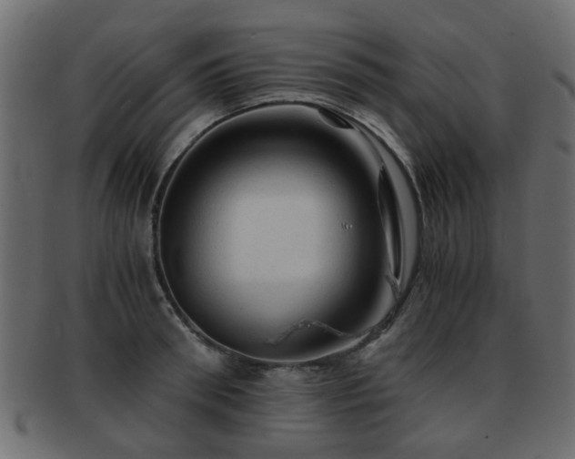 X0000093100898200709261228
