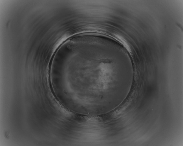 X0000093100899200709261228