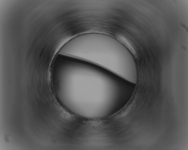 X0000093100900200709261228