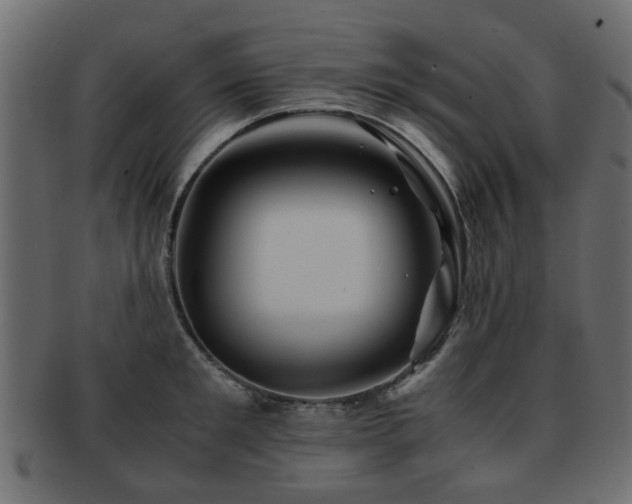X0000093100901200709261228