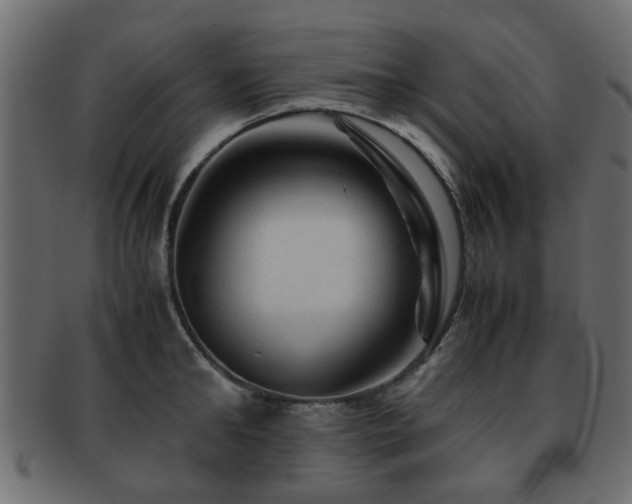 X0000093100902200709261228