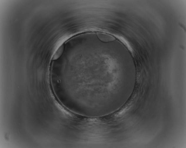 X0000093100903200709261228