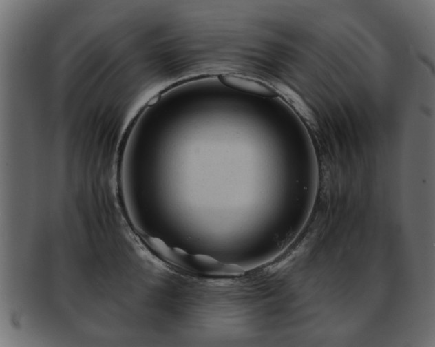 X0000093100904200709261228