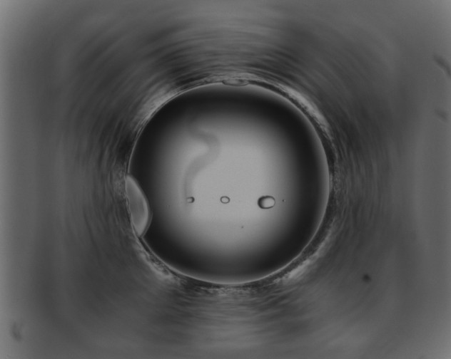 X0000093100905200709261228