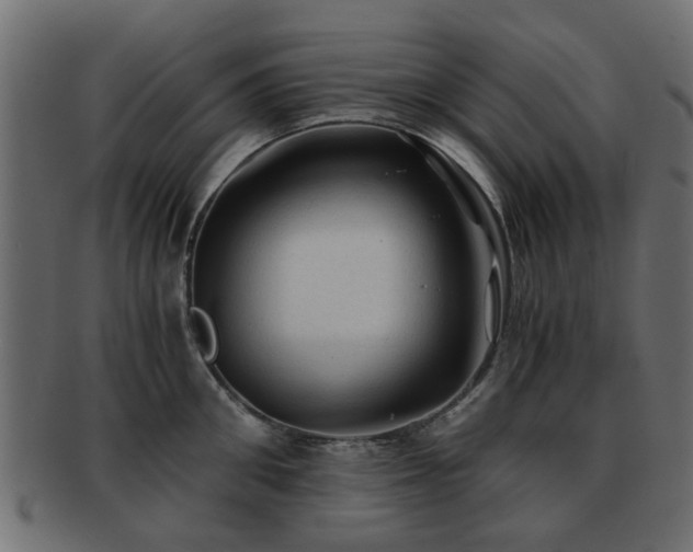 X0000093100906200709261228