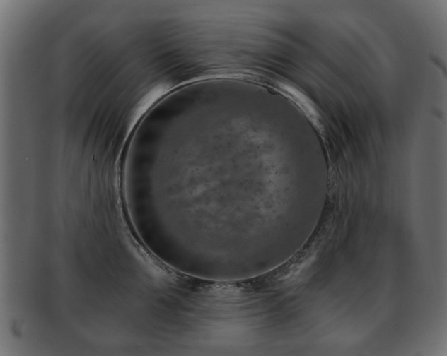 X0000093100907200709261228
