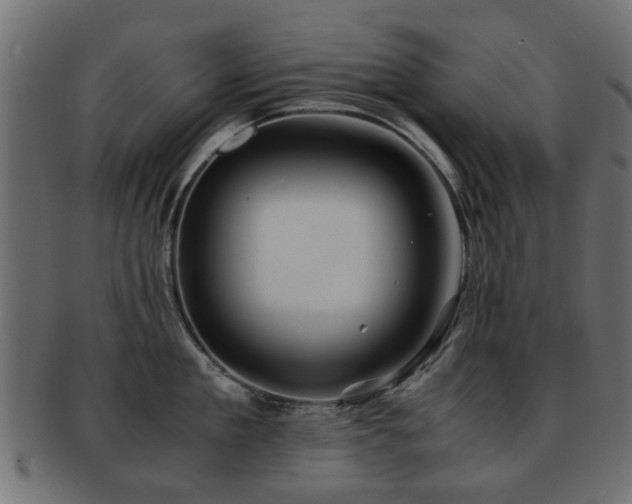 X0000093100909200709261228