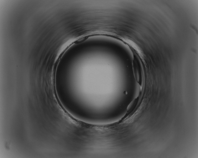 X0000093100910200709261228