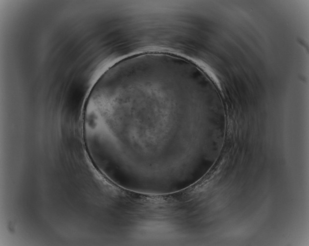 X0000093100911200709261228