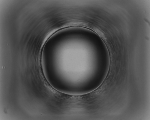X0000093100912200709261228
