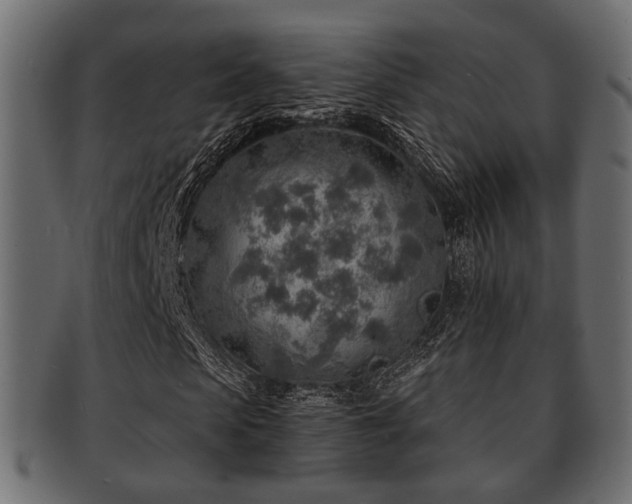 X0000093100913200709261227