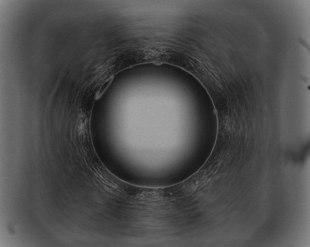 X0000093100914200709261227