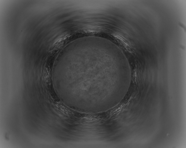 X0000093100917200709261227