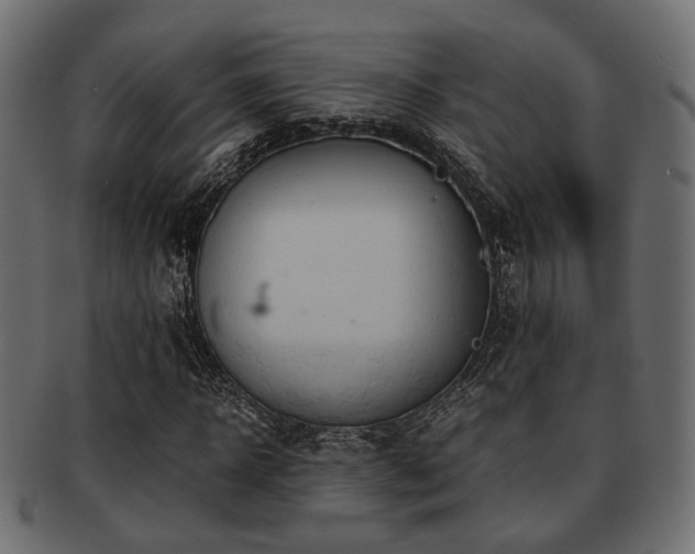 X0000093100918200709261227
