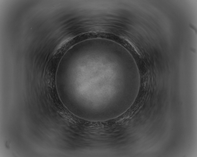 X0000093100919200709261227