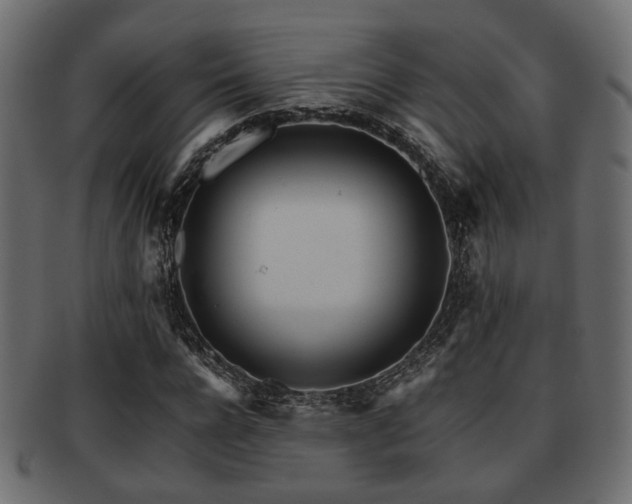X0000093100920200709261227