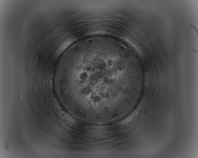 X0000093100921200709261227